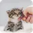 presentation input image #2