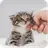 presentation input image #2